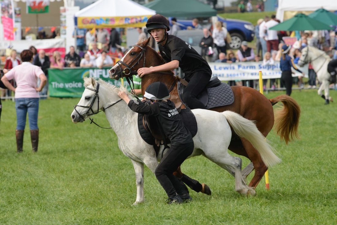 Young riders demonstrating their agility on horseback at the Kington Show